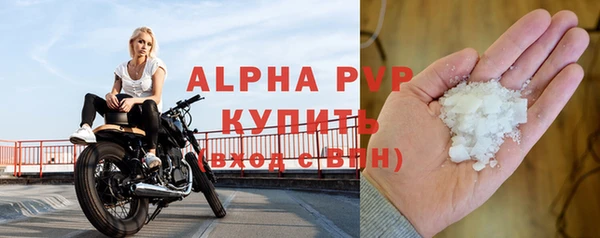 амф Верея