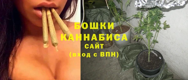 амф Верея